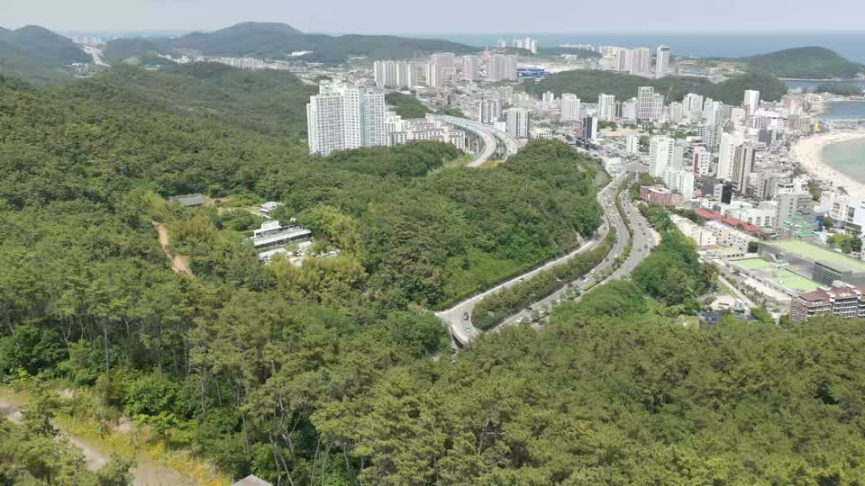 Aerial drone footage of Haeundae seen beyond the forest